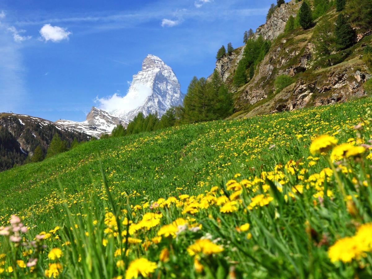 Apartment Dianthus-1 By Interhome Zermatt Ngoại thất bức ảnh